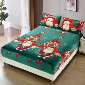Cearsaf de pat Cocolino cu elastic si 2 fete de perna Merry V17 180x200cm