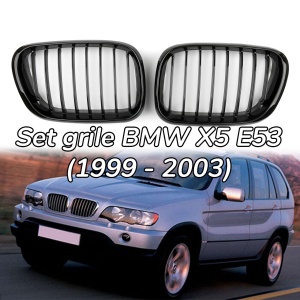 Grila BMW X5 E53 NFL negru lucios
