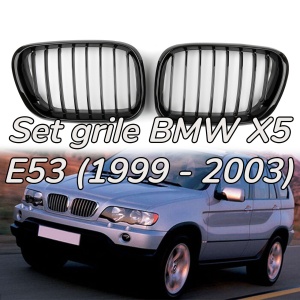 Grila BMW X5 E53 NFL negru lucios