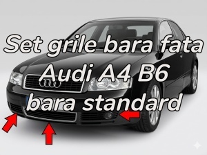 Grile bara fata Audi A4 B6 8E