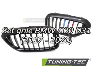 Grile BMW G30 G31 (2017 - 2020) M-Power