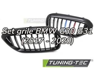 Grile BMW G30 G31 (2017 - 2020) M-Power