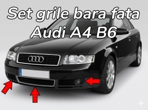 Grile bara fata Audi A4 B6 8E