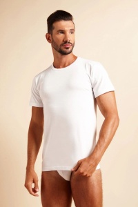 Tricou pentru bărbați cu mânecă scurtă și decolteu rotund, din bumbac, Snelly 7013 - Img 1