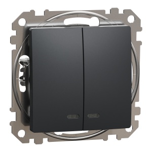 Intrerup dublu 10AX ind loc albast, antr Schneider Sedna Design & Elements SDD114105L