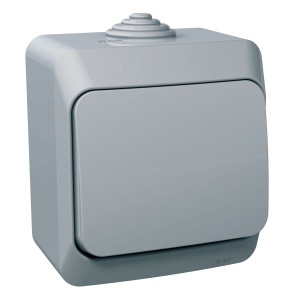 Intrerupator cu revenire 16A PT IP44 gri Schneider Cedar Plus WDE000611