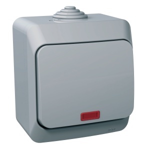 Intrer cap scara ind lum 16A PT IP44 gri Schneider Cedar Plus WDE000661