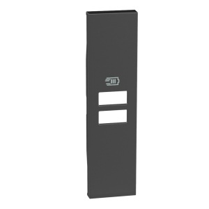 Placa incarcator dublu USB 1M ng Bticino Living Now KG13C