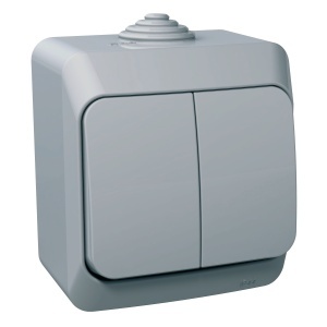 Intrerupator dublu 16A PT IP44 gri Schneider Cedar Plus WDE000650