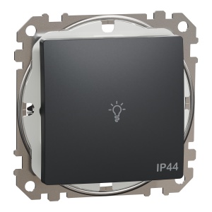 Intr rev simb lumina IP44, antracit Schneider Sedna Design & Elements SDD214132