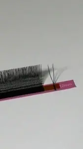 Extensii de gene PREMADE 2DU negre DID LASH (Ultra Black) - Img 2