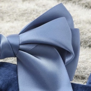 Clama de par, accesorizata cu funda speciala, model royal, tematica be precious, albastru deschis - Img 3