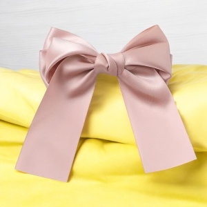 Clama de par, accesorizata cu funda speciala, model royal, tematica be precious, roz - Img 2