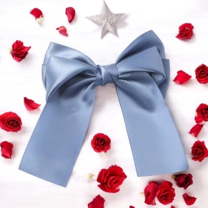 Clama de par, accesorizata cu funda speciala, model royal, tematica be precious, albastru deschis - Img 2