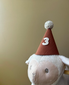 Birthday hat "3"