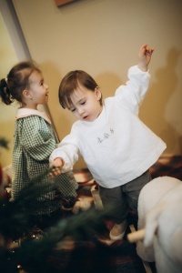 Bluza Trei Pini
