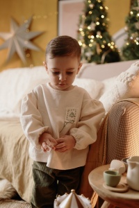 Bluza Vlăstar de Brad