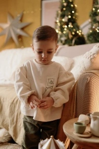 Bluza Vlăstar de Brad