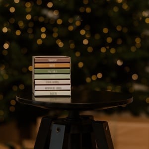 Prima mea bibliotecă de cuvinte