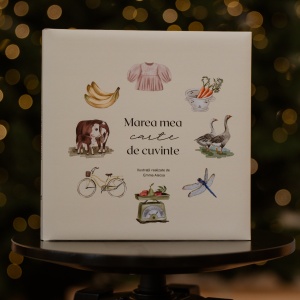 Marea mea carte de cuvinte