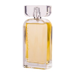 Apa de Parfum Bravery For Ever, Dina Cosmetics, Barbati 100ml
