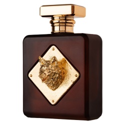 Apa de Parfum Alpha, Fragrance World, Unisex 100ml - Img 2
