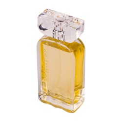 Apa de Parfum Bravery For Ever, Dina Cosmetics, Barbati 100ml