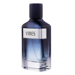 Apa de Parfum Vibes, Fariis, Barbati 100ml