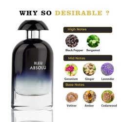 Apa de Parfum Bleu Absolu, Riiffs, Barbati 100ml
