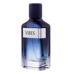 Apa de Parfum Vibes, Fariis, Barbati 100ml
