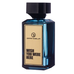 Apa de Parfum Wish You Were Here, Grandeur Elite, Barbati 100ml