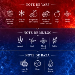 Extrait de Parfum Freeze In Flames, RiiFFS, Unisex - 100ml - Img 3