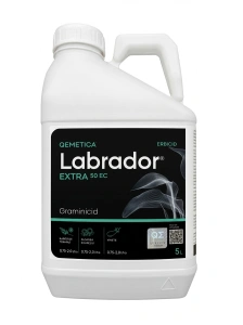 Labrador Extra 50EC 10L erbicid contra monocotiledonate in legumicultura