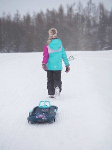 Skipper Sled - Img 2