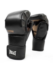 Rukavice za boks Titan Hybrid