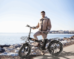Električni bicikl E-Bike Alba Fold F Standard Eleltrični bicikl - Img 2