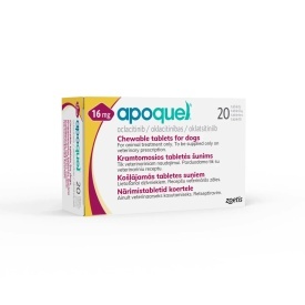 Apoquel chew 16 mg 20 comprimate masticabile pentru caini cu alergii
