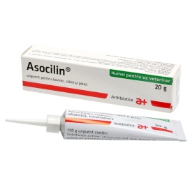 Asocilin 20 g - Unguent