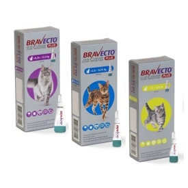 Bravecto Spot-On Pisici 112.5 mg (1.2 - 2.8 kg) împotriva puricilor și căpușelor, 1 pipetă - Img 3