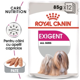 Royal Canin Exigent Adult hrana umeda caine, apetit capricios (pate), 1 plic 85 g