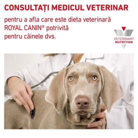 ROYAL CANIN Hypoallergenic Small Dog 3.5 kg, dieta veterinara pentru alergii sau intoleranțe alimentare - Img 6