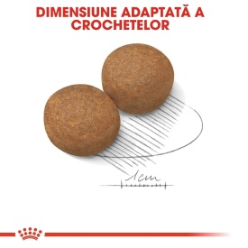 Royal Canin Maxi Adult hrana uscata caine, 3 kg - Img 3