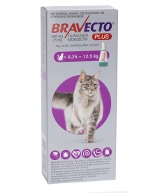 Bravecto Plus Pisici Talie Mare 500mg (6.25 - 12.5 kg) pentru purici, căpușe și viermi, 1 pipetă - Img 2