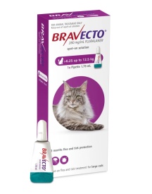 Bravecto Spot-On Pisici 500 mg (6.25 - 12.5 kg) împotriva puricilor și căpușelor, 1 pipetă