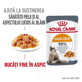 Royal Canin Hair&Skin Care Adult hrana umeda pisica, piele si blana (in aspic), 1 plic 85 g