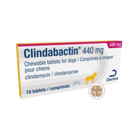 Clindabactin 440mg 10 Comprimate - antibiotic oral pentru caini