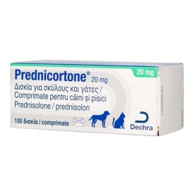 Prednicortone 20 mg 1 tableta