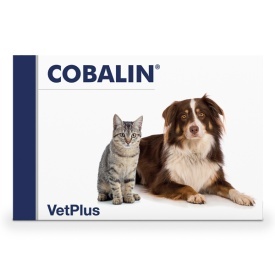 Cobalin 60 capsule, Supliment cu Vitamina B12 și Acid Folic pentru Câini și Pisici