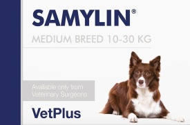 Samylin Medium Breed (10-30 kg) , 1 tableta (* 30 tablete / cutie)