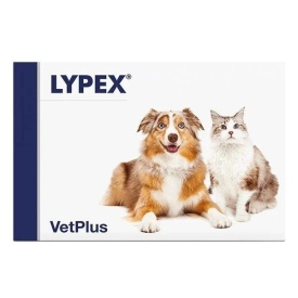 Lypex, 1 capsula (*60 capsule / cutie) enzime pancreatice pentru caini si pisici